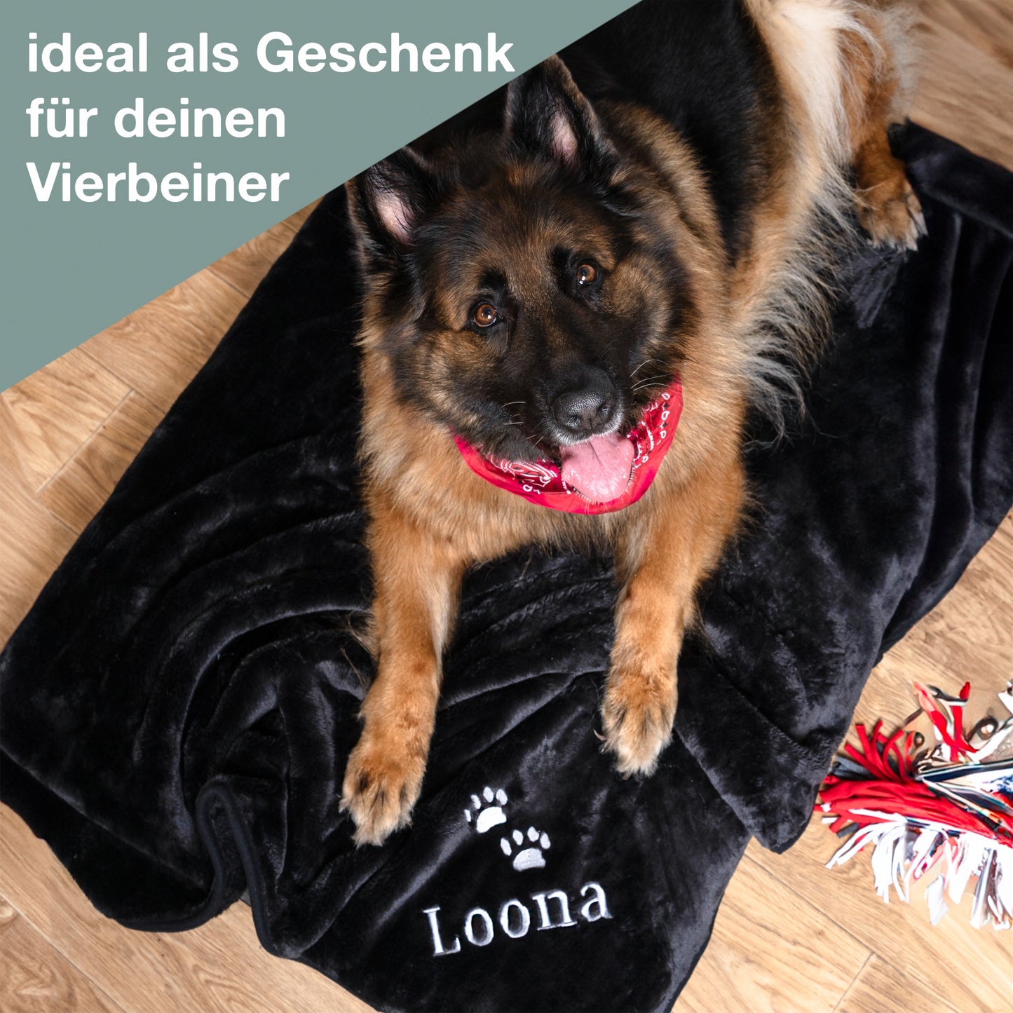 Loona Hundedecke mit Namen bestickt von wolimbo