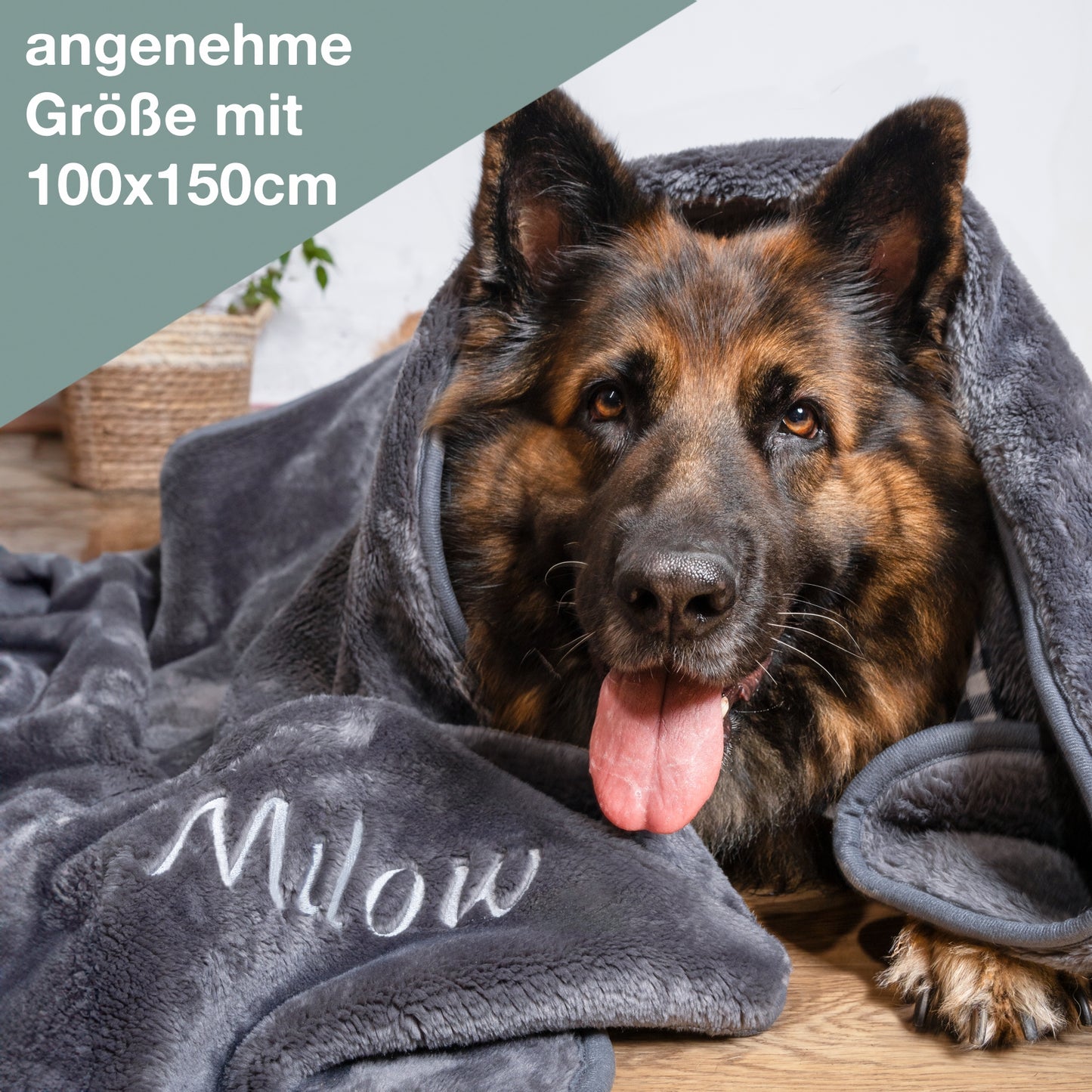 Hund Milow mit Wolimbo Hundedecke mit Namen bestickt